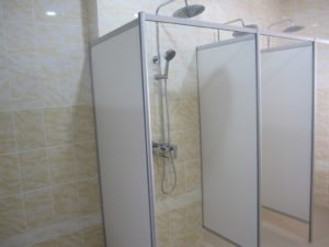 Душевая алюминиевая перегородка GFTD546